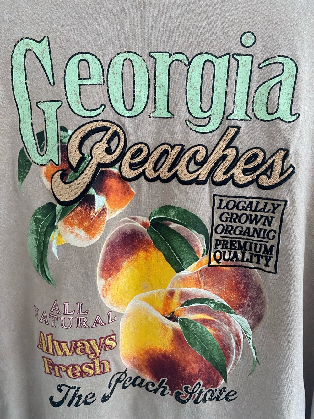 Freeze Cotton Blend Georgia Peach Graphic Embroidered T-Shirt XL